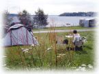 Chincoteague Camping